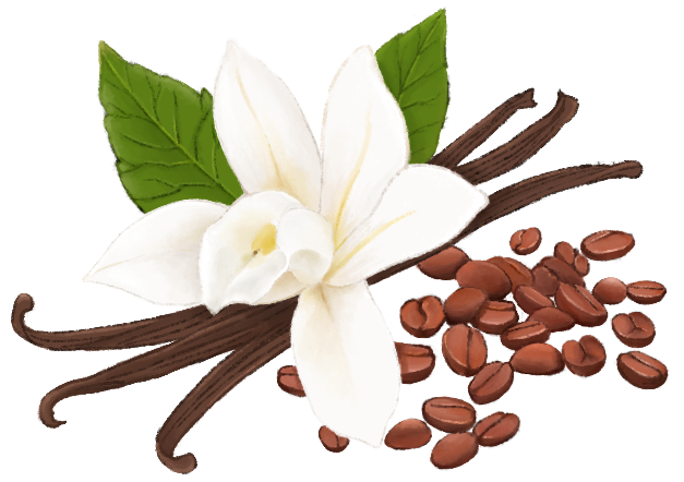 Vanilla Coffee Bean